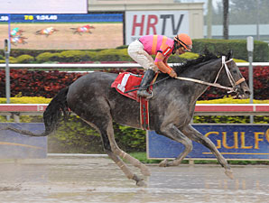 Pants On Fire Hot in Gulfstream Slop