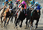 Pants On Fire, Mucho Macho Man Going to Derby