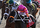 Ky. Derby Trail: Making the Most of Defeat