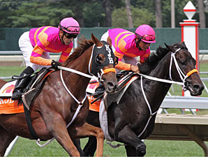 Breen's Haskell Contenders in Final Drill Breen's Haskell Contenders in Final Drill