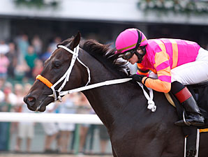 Pants On Fire Burns Pegasus Rivals Pants On Fire Burns Pegasus Rivals