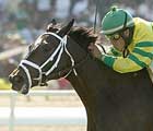 Pletcher Springs Panty Raid on American Oaks