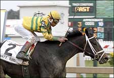 Filly Yells Raid in Black-Eyed Susan Filly Yells Raid in Black-Eyed Susan