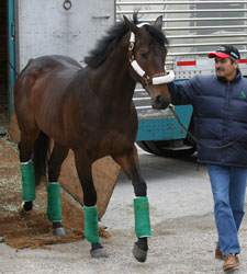 Papa Clem Arrives at Churchill Downs Papa Clem Arrives at Churchill Downs
