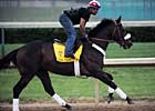 Papa Clem Turns in Final Preakness Drill