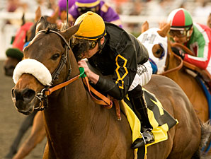 Grade II Winner Papa Clem Retired Grade II Winner Papa Clem Retired