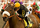 Grade II Winner Papa Clem Retired