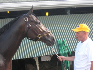 Stute: Papa Clem Likely For Haskell Stute: Papa Clem Likely For Haskell