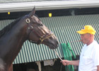Stute: Papa Clem Likely For Haskell Stute: Papa Clem Likely For Haskell