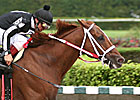 Solid Field Set for Kenny Noe 'Cap