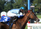 Park Avenue Ball to Colonial Farm