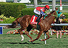 Parranda Continues Winning Ways at Gulfstream Parranda Continues Winning Ways at Gulfstream