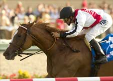 Passified Won't Be Appeased in San Clemente Win Passified Won't Be Appeased in San Clemente Win