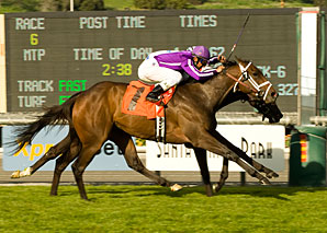 Passion Gamely Takes La Habra Passion Gamely Takes La Habra