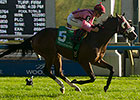 Passion for Action Rolls to Cup & Saucer Win Passion for Action Rolls to Cup & Saucer Win