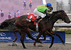 Display: Patena Holds On For Victory Display: Patena Holds On For Victory