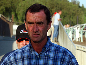 Three Rematch in Providencia Stakes Three Rematch in Providencia Stakes