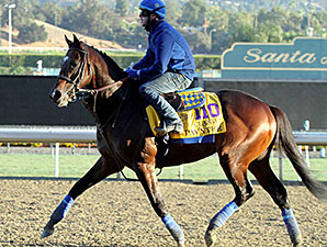 WinStar Farm Sets 2014 Stud Fees WinStar Farm Sets 2014 Stud Fees
