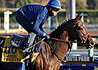 Finalists Announced, Vox Populi Voting Begins Finalists Announced, Vox Populi Voting Begins