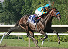 Paynter Out of Travers Stakes Consideration Paynter Out of Travers Stakes Consideration