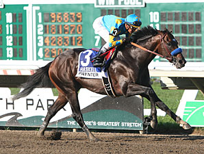 Paynter Heading to Belmont, Much Improved Paynter Heading to Belmont, Much Improved