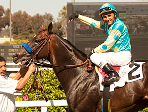 Grade I Winner Paynter to Stand at WinStar Grade I Winner Paynter to Stand at WinStar