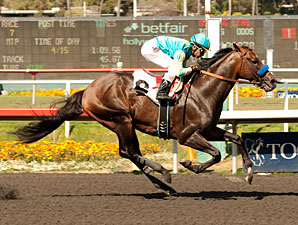 Paynter Ready for Next Step in San Diego 'Cap Paynter Ready for Next Step in San Diego 'Cap