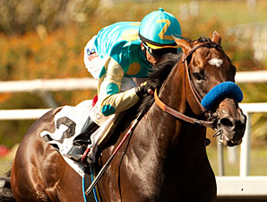 Paynter, Liaison Drill in Tandem at Del Mar Paynter, Liaison Drill in Tandem at Del Mar