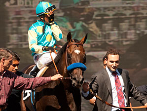 Paynter Works Toward Woodward Stakes Paynter Works Toward Woodward Stakes