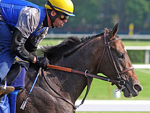 Paynter Beats Laminitis, Still Fights Colitis