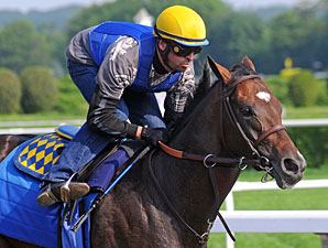 Paynter to Rehab at Fair Hill Equine Therapy Paynter to Rehab at Fair Hill Equine Therapy