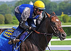 Paynter to Rehab at Fair Hill Equine Therapy Paynter to Rehab at Fair Hill Equine Therapy