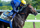 Paynter Diagnosed With Laminitis
