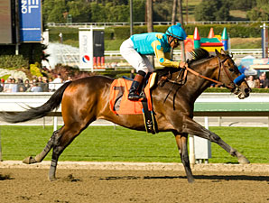 Paynter to Make Next Start in Illinois Derby Paynter to Make Next Start in Illinois Derby