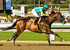 Paynter Headlines Derby Trial at Churchill Paynter Headlines Derby Trial at Churchill