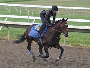 Preparations Continue for Haskell Contenders Preparations Continue for Haskell Contenders