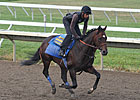 Preparations Continue for Haskell Contenders