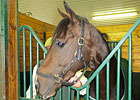 Haskin: Paynter Arrives at Fair Hill Haskin: Paynter Arrives at Fair Hill