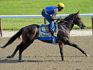 Zayat Hopes Paynter is His Masterpiece Zayat Hopes Paynter is His Masterpiece