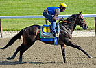 Zayat Hopes Paynter is His Masterpiece