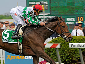 Dream Trip for Pays to Dream in Dixie Dream Trip for Pays to Dream in Dixie