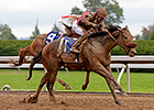 Peace and War Aces U.S. Debut in Alcibiades Peace and War Aces U.S. Debut in Alcibiades