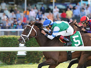 Peace Preserver Upsets Noble Damsel Field Peace Preserver Upsets Noble Damsel Field
