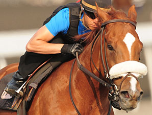 Woodbine Veterans Vie for King Edward Title Woodbine Veterans Vie for King Edward Title