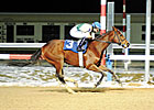 Jockeys Injured in Spill at Penn National Jockeys Injured in Spill at Penn National