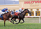Penn National to Add $500,000 Turf Stakes