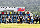 Pretrial Hearings Set for Penn National Cases Pretrial Hearings Set for Penn National Cases