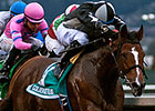 Pepper Crown Closes Strongly for Berkeley Win Pepper Crown Closes Strongly for Berkeley Win