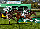 Pepper Crown Gets First Stakes Win in SF Mile Pepper Crown Gets First Stakes Win in SF Mile