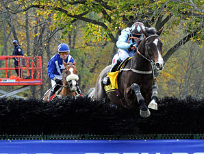 Percussionist Drums Up Grand National Triumph Percussionist Drums Up Grand National Triumph